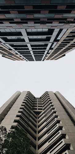 office building low-angle photography of buildings city